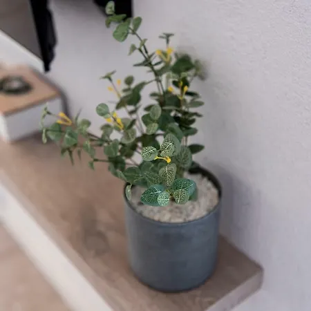 Lovely And Bright In The Heart Of Apartment Banyoles